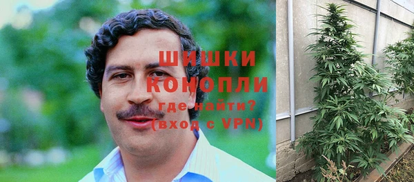 гашик Белоозёрский