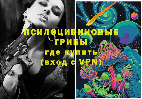 прущие крисы Белокуриха